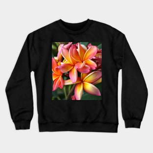 plumeria-flowers-frangipani-floral-blossom-petal-bloom-shirtyshirto-29 Crewneck Sweatshirt